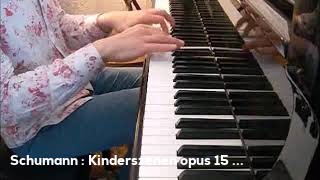 Schumann : Kinderszenen opus 15 (3 : Hasche-Mann) par Etienne Goepp, piano