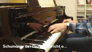 Schumann der Dichter spricht op15 n°13